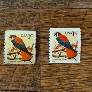 2 American Kestrel 1 cent stamps